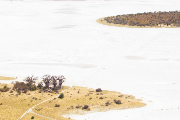 Makgakgadi and Nxai Pan National Parks